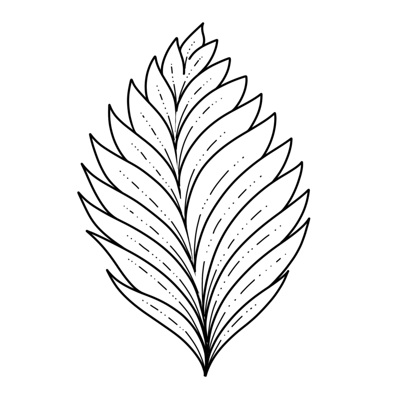 Leaves Drawing Creative Style
