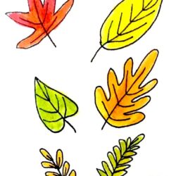 Leaves Drawing Detailed Sketch