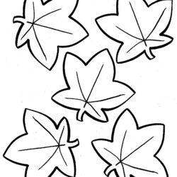 Leaves Drawing Modern Sketch