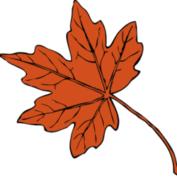 Leaves Drawing Picture