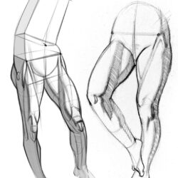 Leg Drawing Picture