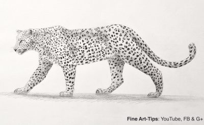 Leopard, Feline, Spotted, Predator, Agile Drawing