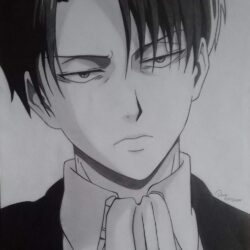 Levi Drawing Amazing Sketch