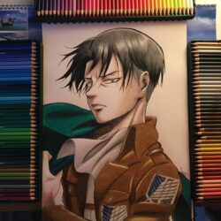 Levi Drawing Detailed Sketch