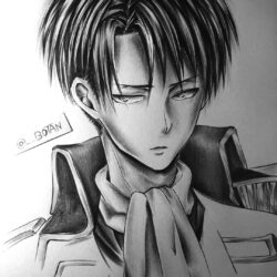 Levi Drawing Modern Sketch