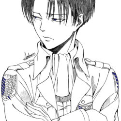 Levi Drawing Realistic Sketch