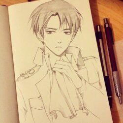 Levi Drawing Sketch