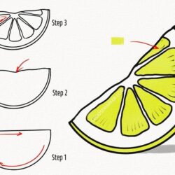 Lime Drawing Art