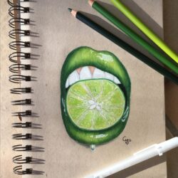 Lime Drawing Creative Style