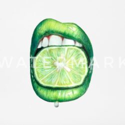 Lime Drawing Image