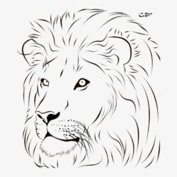 Lion Drawing