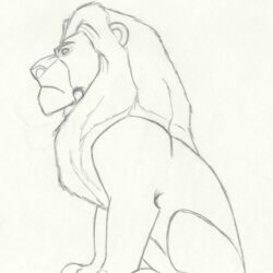 Lion King Drawing