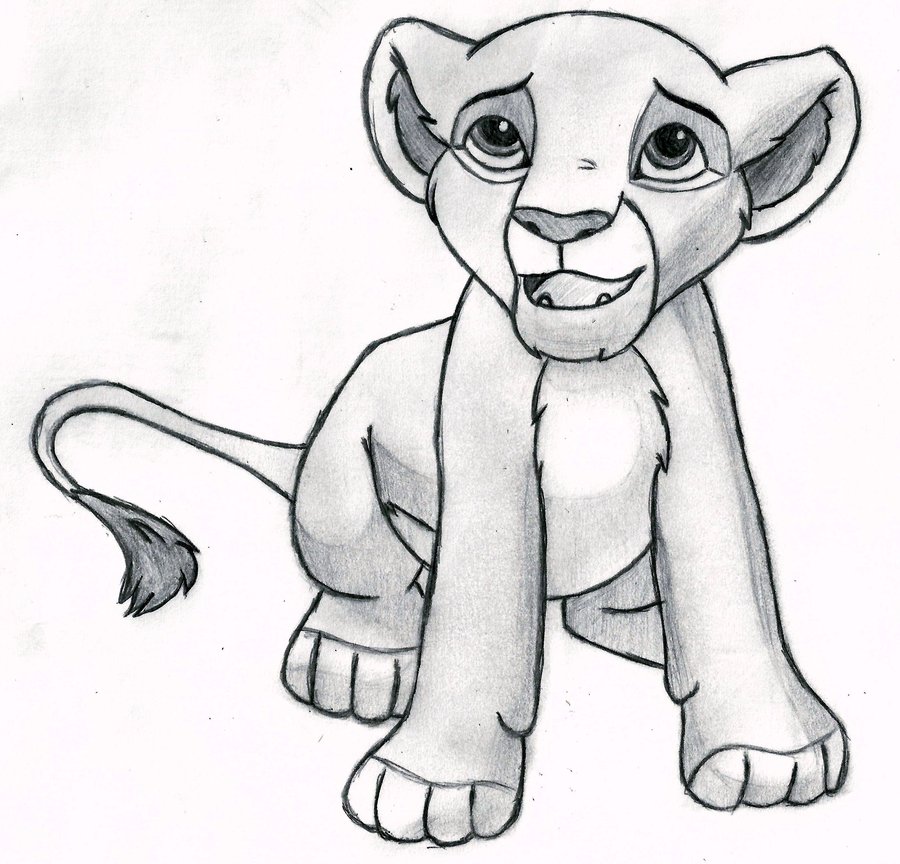 Lion King Drawing Amazing Sketch