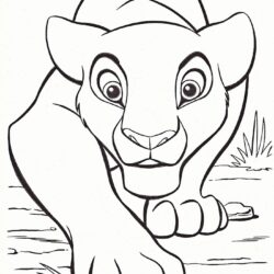 Lion King Drawing Art