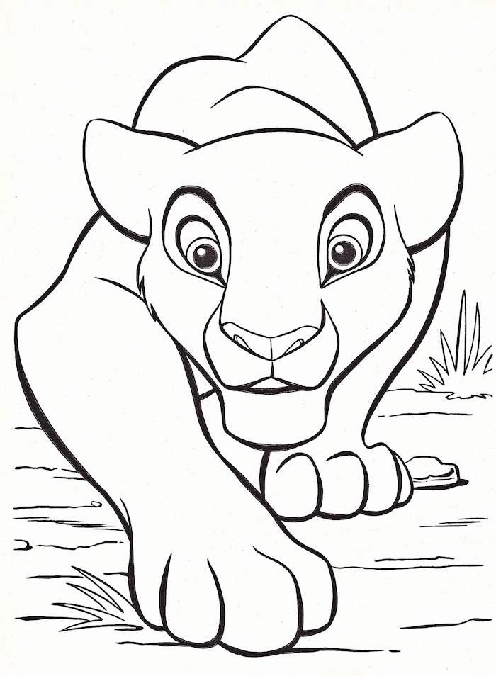 Lion King Drawing Art