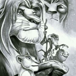 Lion King Drawing Detailed Sketch