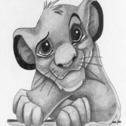 Lion King Drawing Hand Drawn