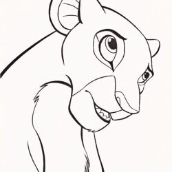 Lion King Drawing Hand Drawn Sketch