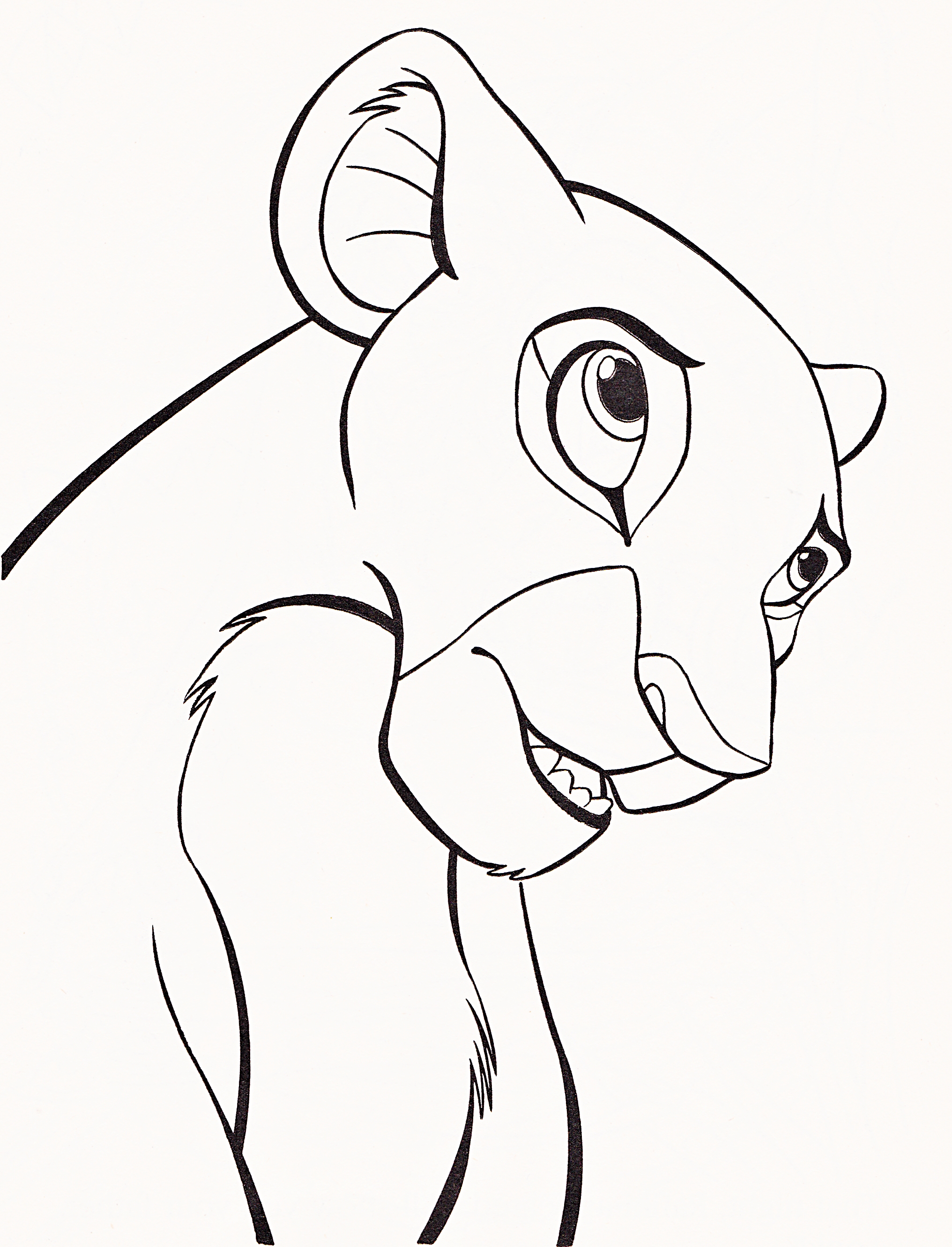 Lion King Drawing Hand Drawn Sketch