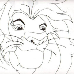 Lion King Drawing Intricate Artwork