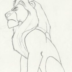 Lion King Drawing Modern Sketch