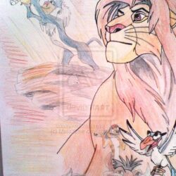 Lion King Drawing Picture