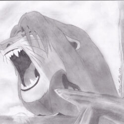 Lion King Drawing Realistic Sketch