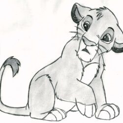 Lion King Drawing Stunning Sketch