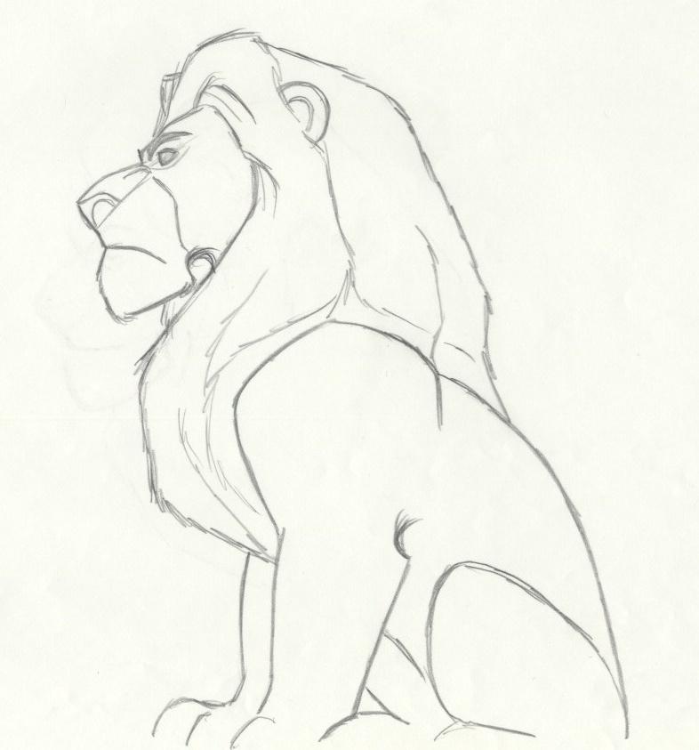 Lion King Drawing