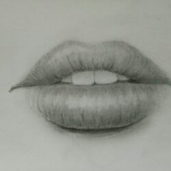 Lip Drawing Professional Artwork