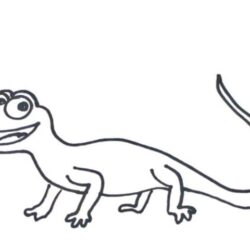 Lizard Drawing Picture