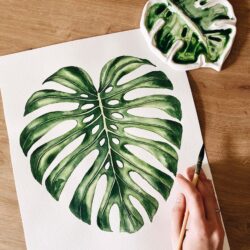 Monstera Drawing Professional Artwork