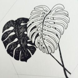 Monstera Drawing Unique Art