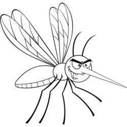 Mosquito Drawing Amazing Sketch