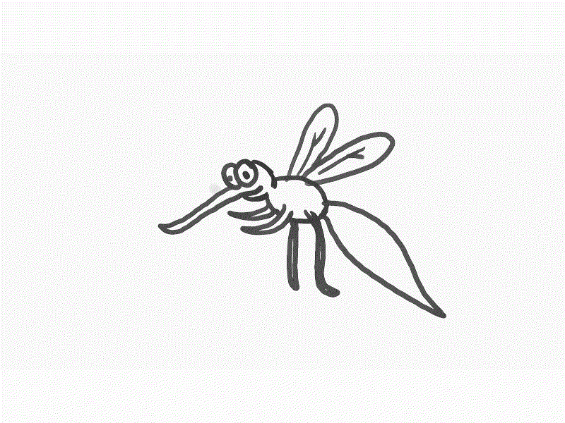 Mosquito Drawing Art
