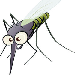 Mosquito Drawing Image