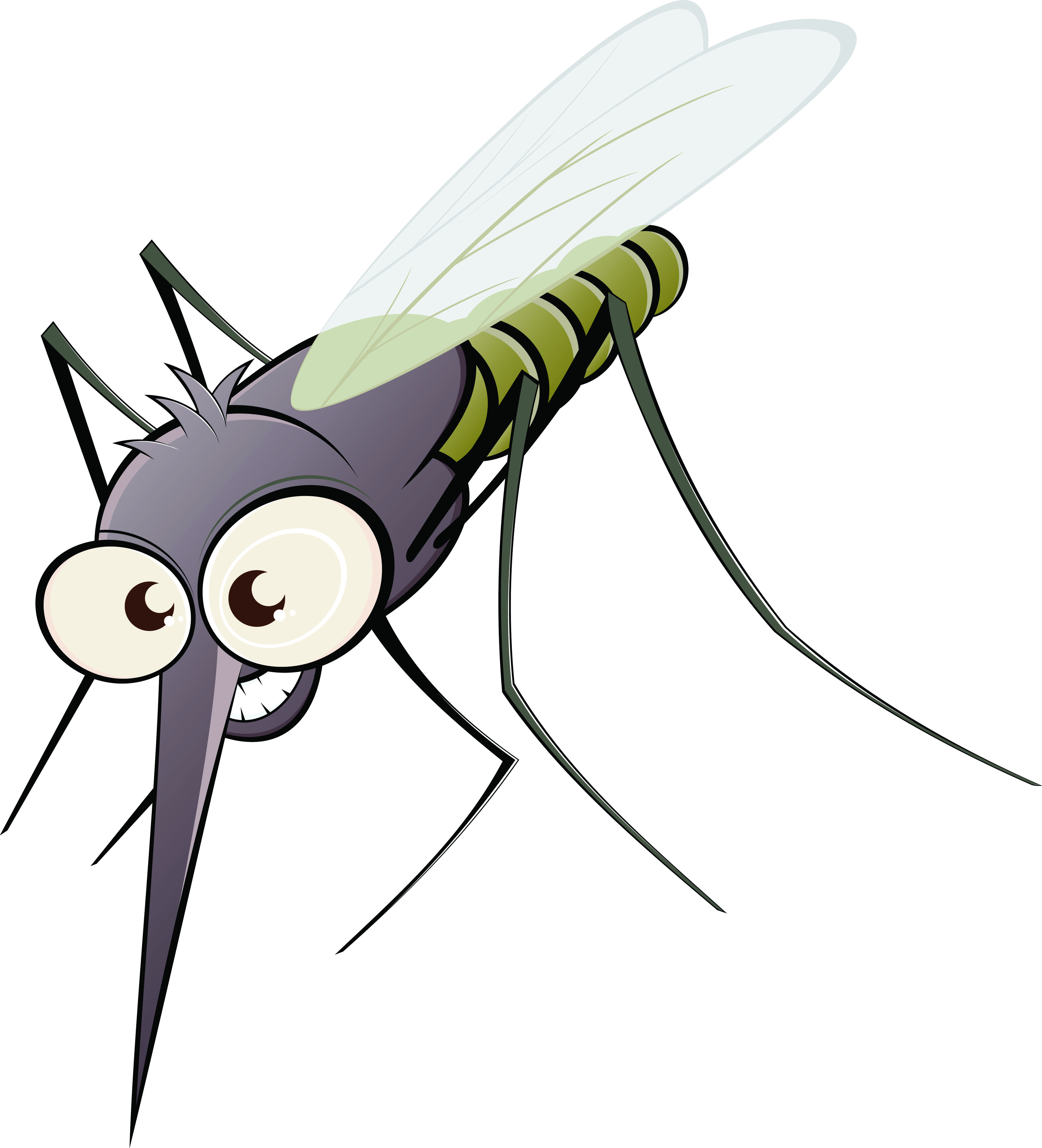 Mosquito Drawing Image