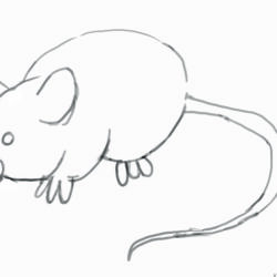 Mouse Drawing Modern Sketch