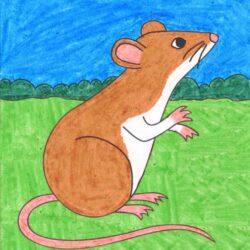 Mouse Drawing Picture