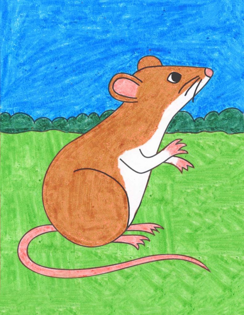 Mouse Drawing Picture