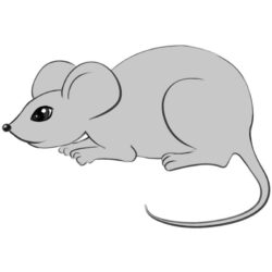 Mouse Drawing Stunning Sketch