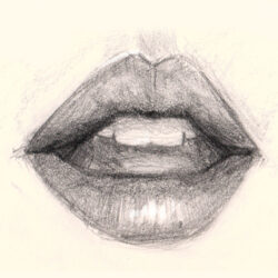 Mouths Drawing Stunning Sketch