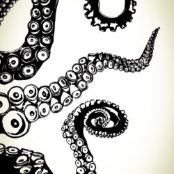 Octopus Tentacles Drawing Amazing Sketch