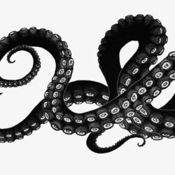 Octopus Tentacles Drawing Professional Artwork