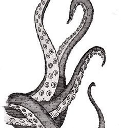Octopus Tentacles Drawing Unique Art