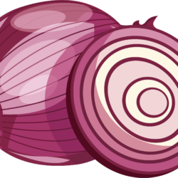 Onion Drawing Creative Style