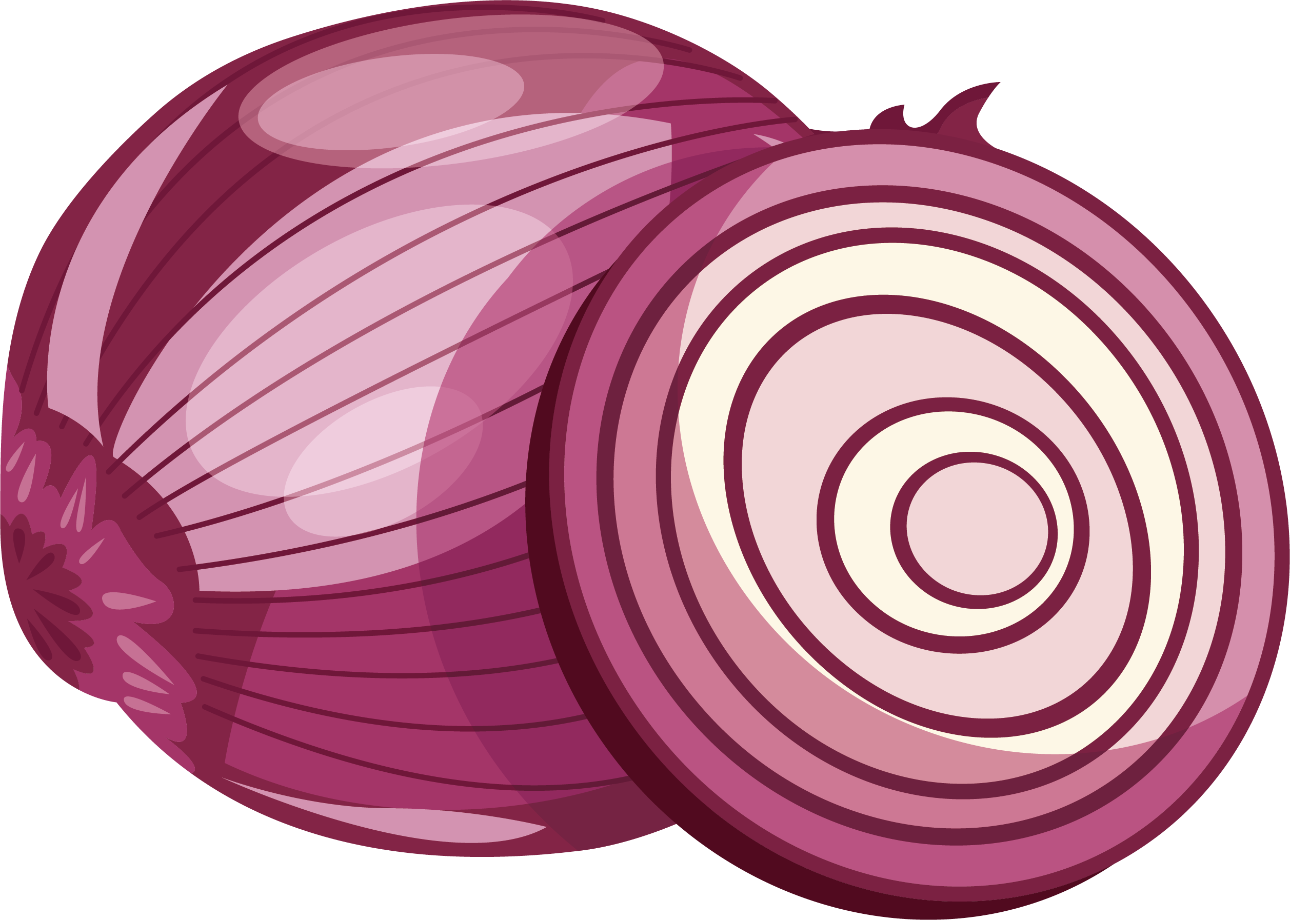 Onion Drawing Creative Style