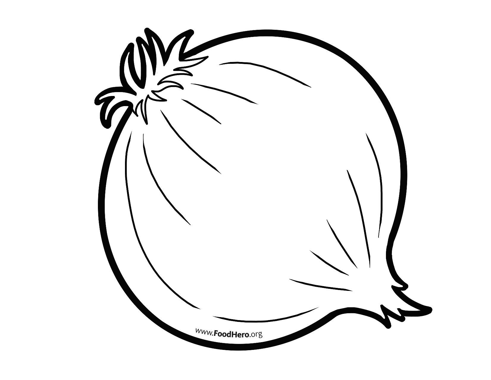 Onion Drawing Fine Art