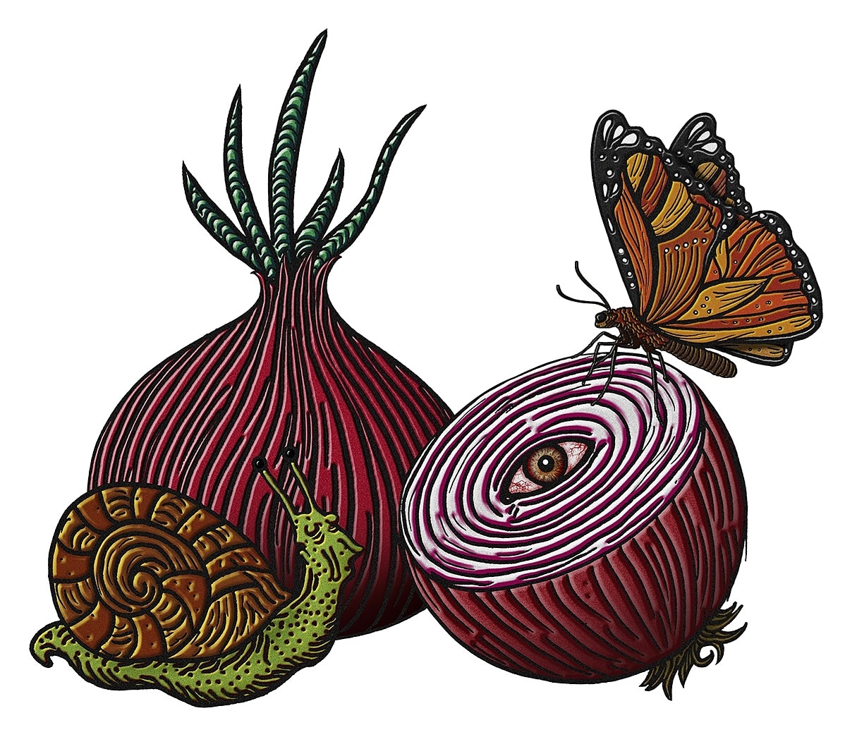 Onion Drawing Realistic Sketch