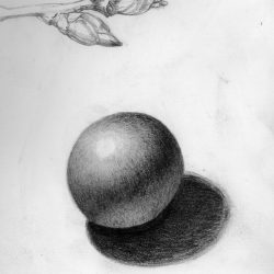 Orb Drawing Picture